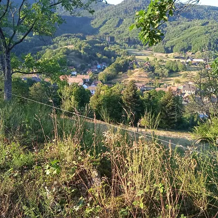 Ha Jodi Apartment Steige